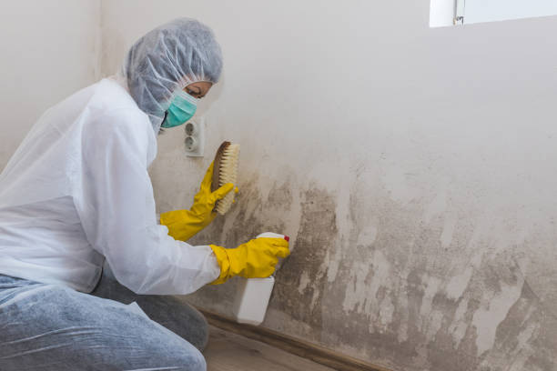 Best Professional Mold Removal  in Woodmore, MD