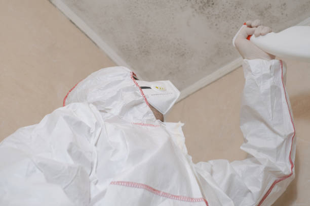 Best Mold Removal Process  in Woodmore, MD